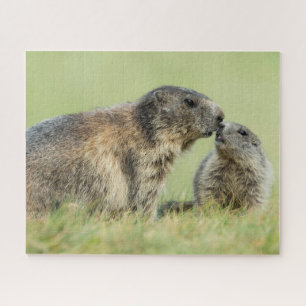 Cutest Baby Animals Alpine Marmot Family Jigsaw Puzzle