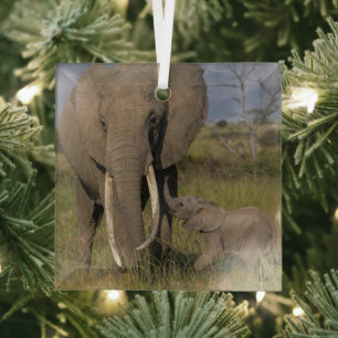 Cutest Baby Animals   Amama Elephant With Baby Glass Tree Decoration