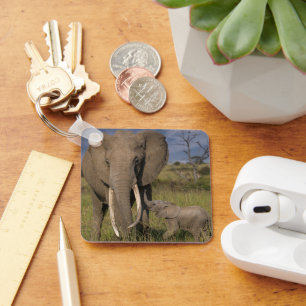 Cutest Baby Animals Amama Elephant With Baby Key Ring
