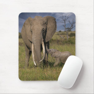 Cutest Baby Animals Amama Elephant With Baby Mouse Mat