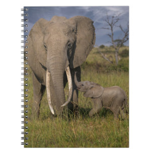 Cutest Baby Animals Amama Elephant With Baby Notebook