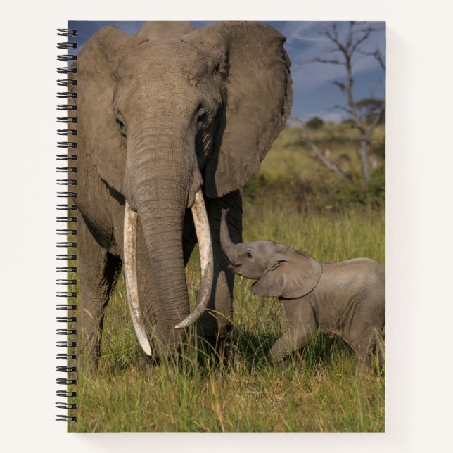 Cutest Baby Animals | Amama Elephant With Baby Notebook (Front)