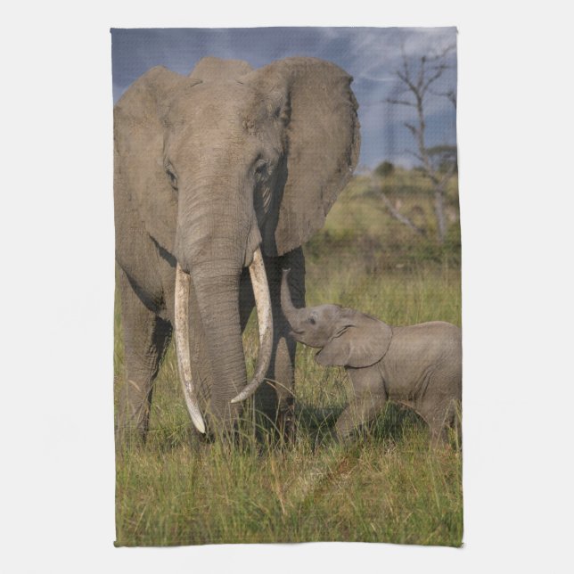 Cutest Baby Animals | Amama Elephant With Baby Tea Towel (Vertical)