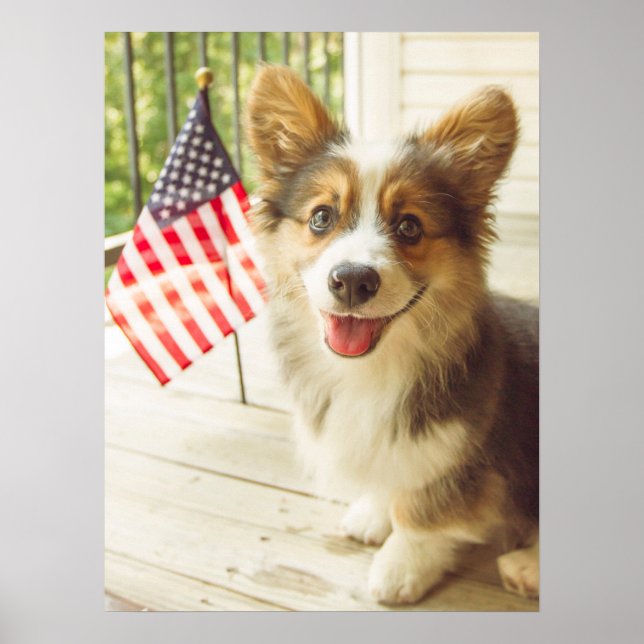 Cutest Baby Animals | American Flag Corgi Poster (Front)