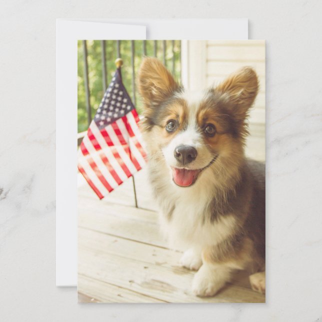 Cutest Baby Animals | American Flag Corgi Thank You Card (Front)
