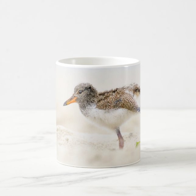 Cutest Baby Animals | American Oystercatcher Chick Coffee Mug (Center)