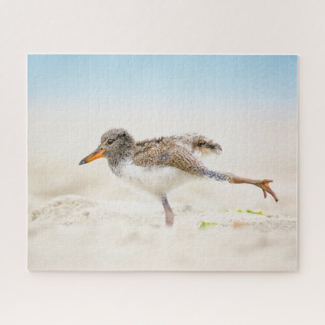 Cutest Baby Animals | American Oystercatcher Chick Jigsaw Puzzle (Horizontal)