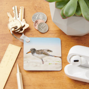 Cutest Baby Animals   American Oystercatcher Chick Key Ring
