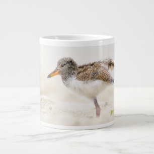 Cutest Baby Animals American Oystercatcher Chick Large Coffee Mug