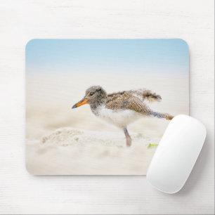 Cutest Baby Animals   American Oystercatcher Chick Mouse Mat