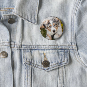 Cutest Baby Animals   Australian Shepherd Puppy 6 Cm Round Badge