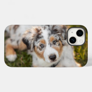 Cutest Baby Animals Australian Shepherd Puppy Case-Mate iPhone 14 Case