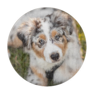 Cutest Baby Animals Australian Shepherd Puppy Cutting Board
