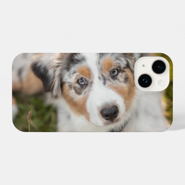 Cutest Baby Animals | Australian Shepherd Puppy iPhone Case (Back Horizontal)