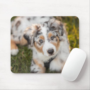 Cutest Baby Animals   Australian Shepherd Puppy Mouse Mat