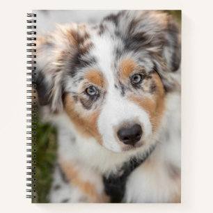 Cutest Baby Animals   Australian Shepherd Puppy Notebook