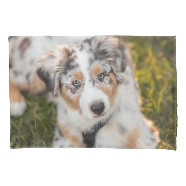 Cutest Baby Animals | Australian Shepherd Puppy Pillowcase (Front)
