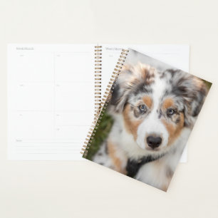 Cutest Baby Animals   Australian Shepherd Puppy Planner