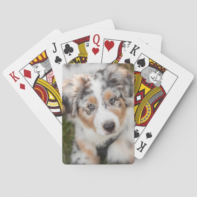 Cutest Baby Animals | Australian Shepherd Puppy Playing Cards (Back)