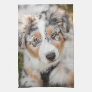 Cutest Baby Animals   Australian Shepherd Puppy Tea Towel