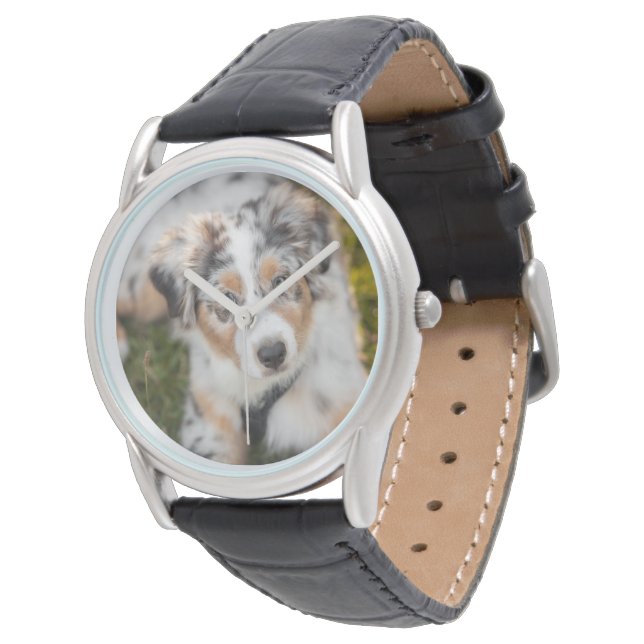 Cutest Baby Animals | Australian Shepherd Puppy Watch (Angled)