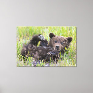 Cutest Baby Animals Baby Brown Bear Cub Canvas Print