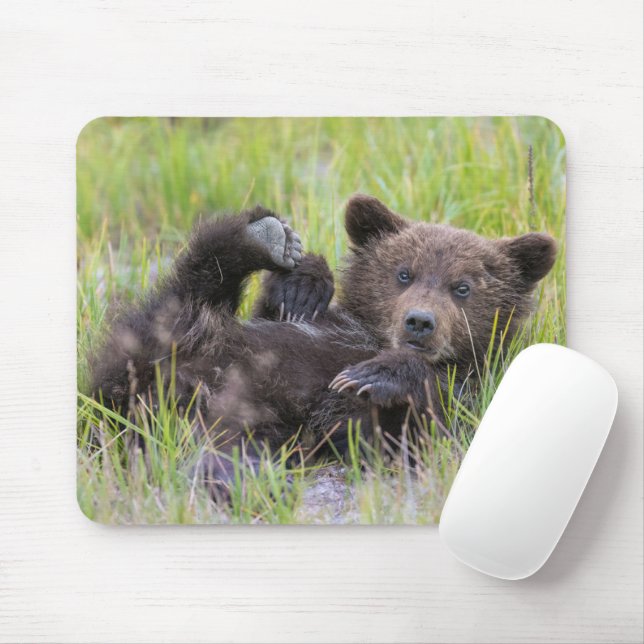 Cutest Baby Animals | Baby Brown Bear Cub Mouse Mat (With Mouse)