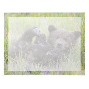 Cutest Baby Animals Baby Brown Bear Cub Notepad