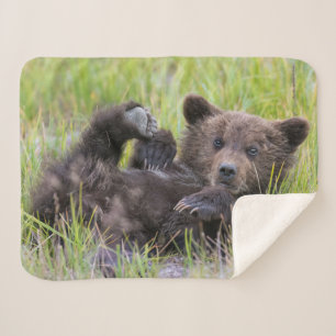 Cutest Baby Animals   Baby Brown Bear Cub Sherpa Blanket