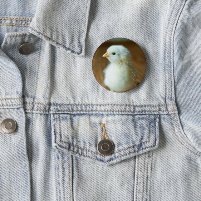 Cutest Baby Animals | Baby Chick 6 Cm Round Badge (In Situ)