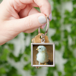 Cutest Baby Animals   Baby Chick Key Ring