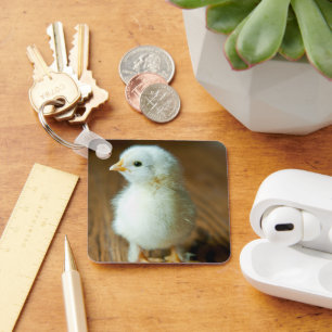 Cutest Baby Animals   Baby Chick Key Ring