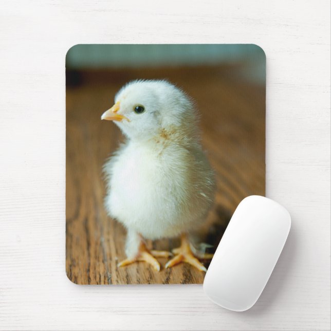 Cutest Baby Animals | Baby Chick Mouse Mat (With Mouse)