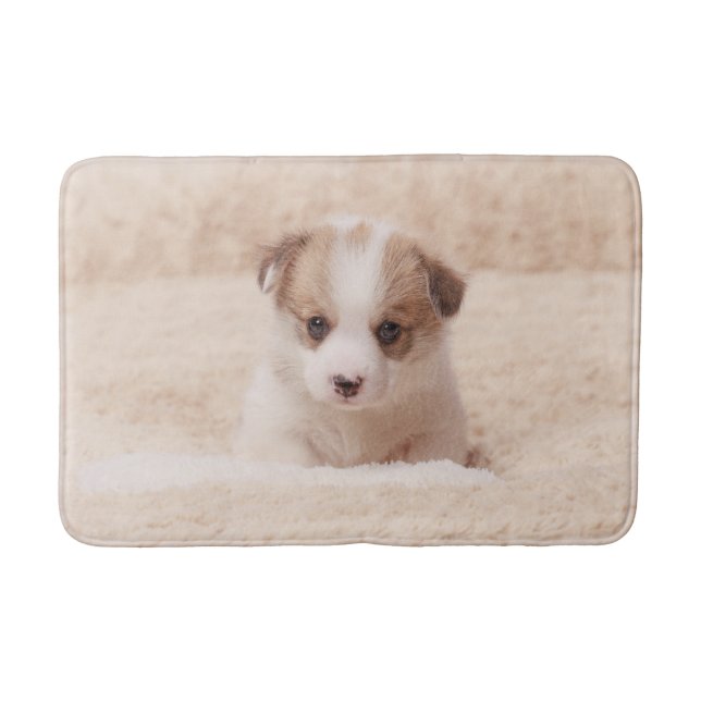 Cutest Baby Animals | Baby Corgi Bath Mat (Front)