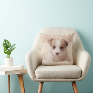 Cutest Baby Animals   Baby Corgi Cushion