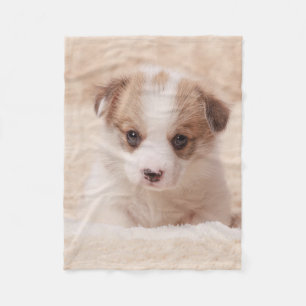 Cutest Baby Animals Baby Corgi Fleece Blanket