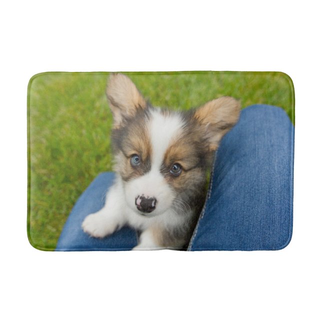 Cutest Baby Animals | Baby Corgi in My Lap Bath Mat (Front)