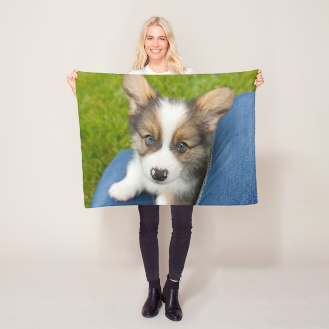Cutest Baby Animals | Baby Corgi in My Lap Fleece Blanket (In Situ)