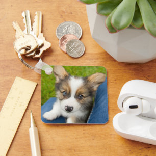 Cutest Baby Animals Baby Corgi in My Lap Key Ring