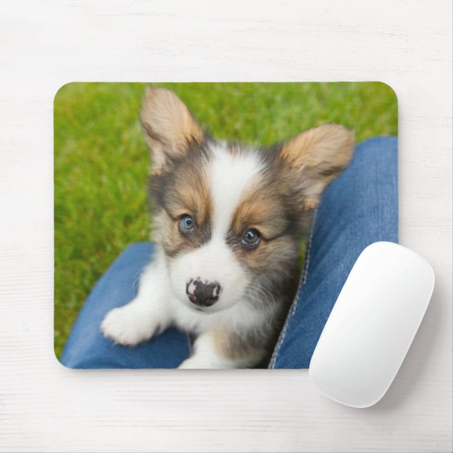 Cutest Baby Animals | Baby Corgi in My Lap Mouse Mat (With Mouse)