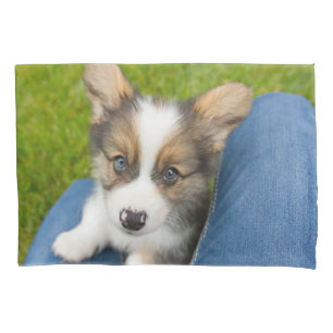 Cutest Baby Animals   Baby Corgi in My Lap Pillowcase