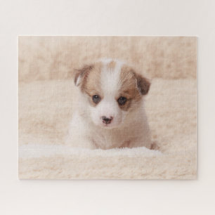 Cutest Baby Animals Baby Corgi Jigsaw Puzzle