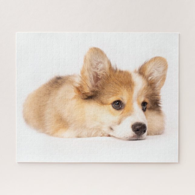 Cutest Baby Animals | Baby Corgi Puppy Portrait Jigsaw Puzzle (Horizontal)