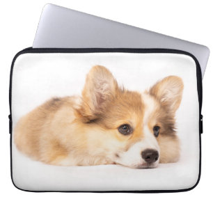 Cutest Baby Animals Baby Corgi Puppy Portrait Laptop Sleeve