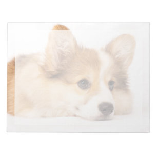 Cutest Baby Animals Baby Corgi Puppy Portrait Notepad