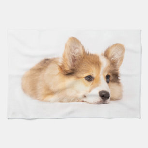 Cutest Baby Animals Baby Corgi Puppy Portrait Tea Towel