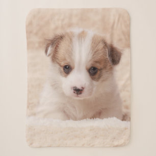 Cutest Baby Animals Baby Corgi Sherpa Blanket