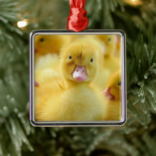 Cutest Baby Animals   Baby Duck Group Metal Tree Decoration