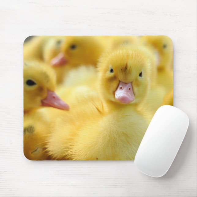 Cutest Baby Animals | Baby Duck Group Mouse Mat (With Mouse)