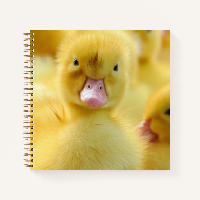 Cutest Baby Animals | Baby Duck Group Notebook (Front)